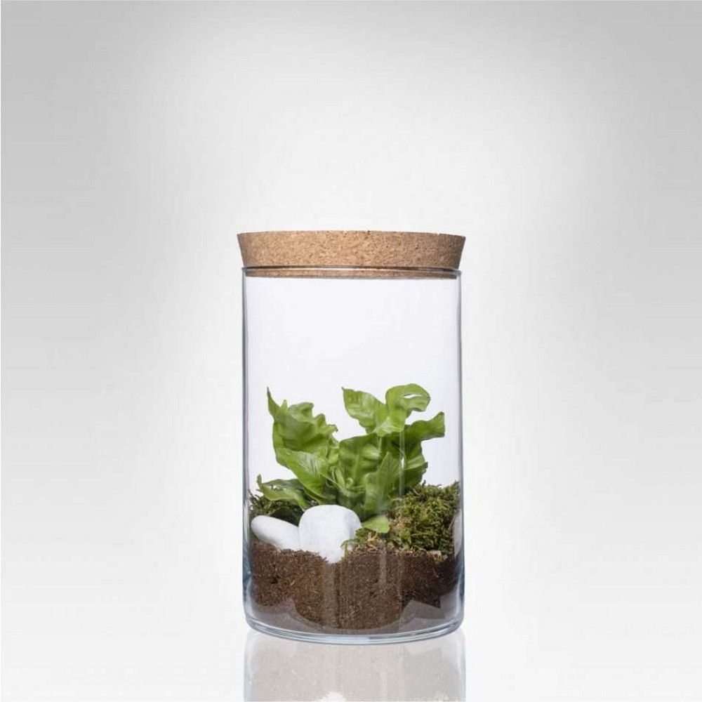 terrarium medium